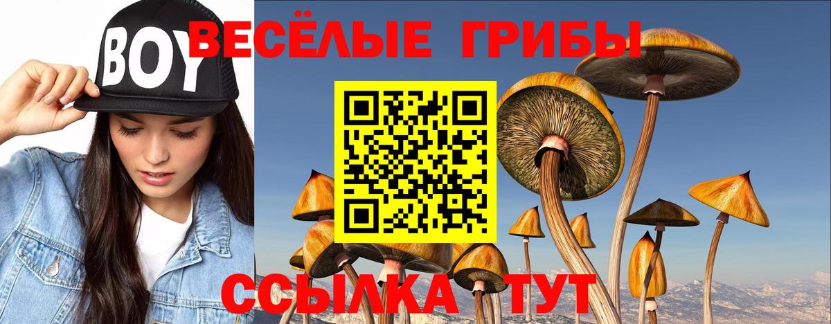 Магнитогорск  купить наркоту  Вход с VPN  Псилоцибиновые грибы GOLDEN TEACHER 